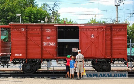В Карелии отобрали шестерых детей у многодетной семьи