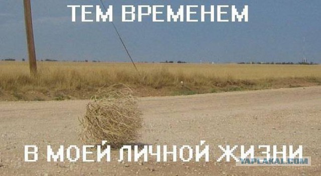 28 дней без секса. Как меняется организм.