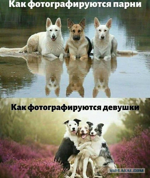 А вы знали, что все люди делятся на два типа?