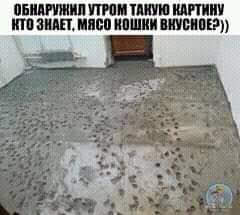 Картинки