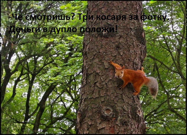 Отпуск в Ессентуках и Архызе, июль 2019