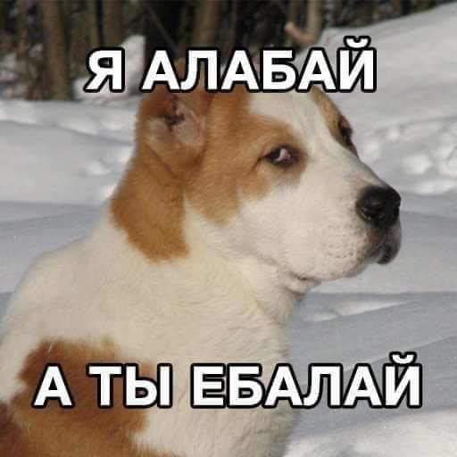Картинки с претензией на юмор. Старые - 6