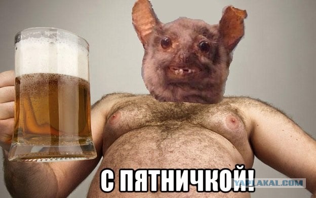 Кто мы на форумах?