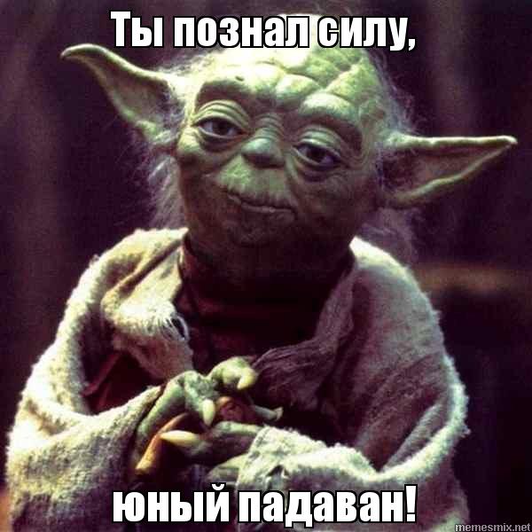 Честный чемпионский бой сына Рамзана Кадырова