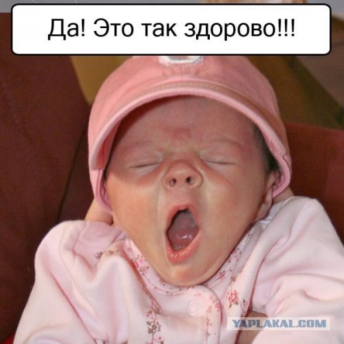 Спорим, зевнешь?))) (28 фото)