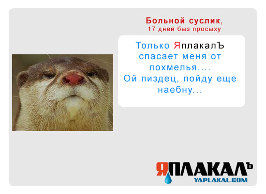 Конкурс фотожабы: Я Люблю ЯПлакалъ