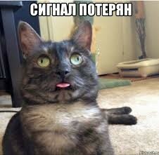 Где такое продаётся? Часики
