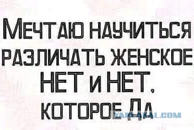 Немного картинок для настроения 10.07.20