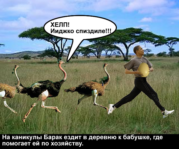 Баскетболист