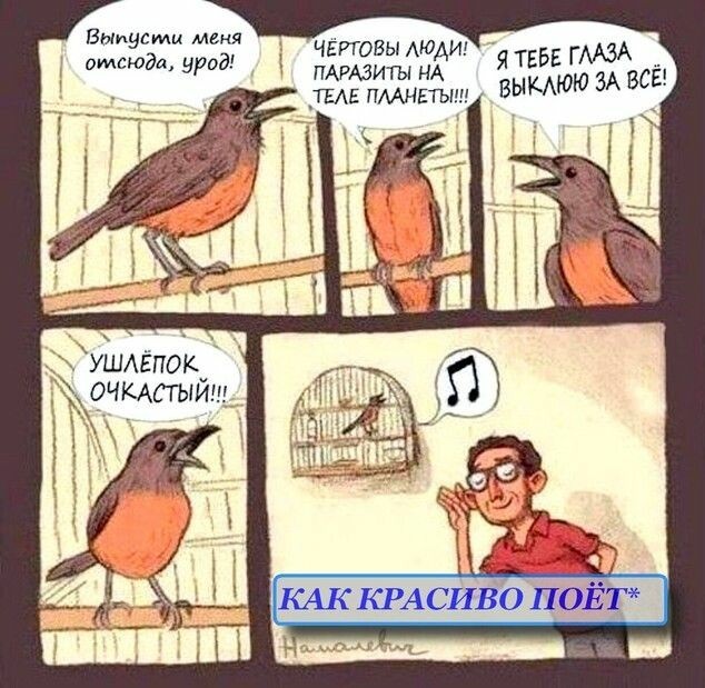 Юмор в картинках 29.07.20