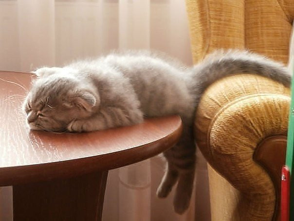 Навеяло пятницей, отпуском и короновирусом