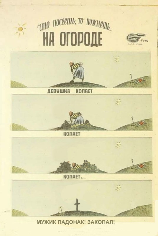 На огороде