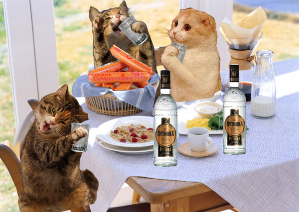 Мир глазами котов