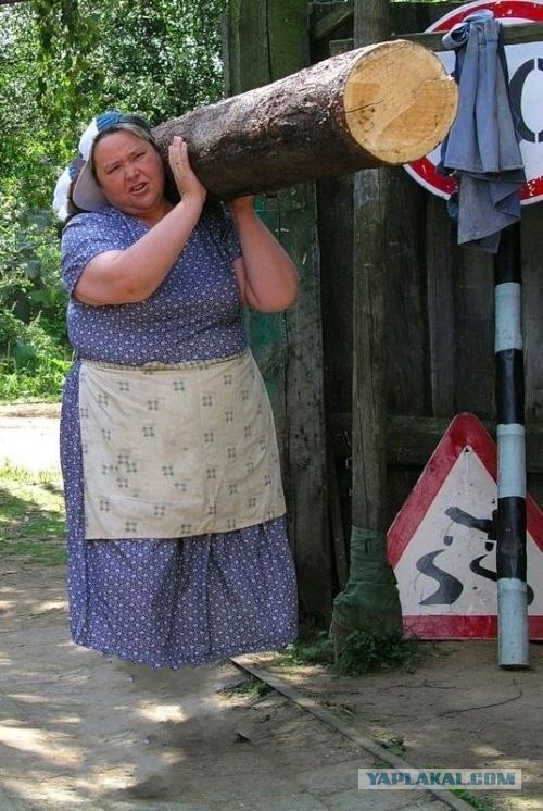 фотожаба: с бревном