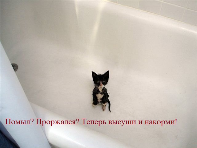 Позитивные картинки на 17.01.21