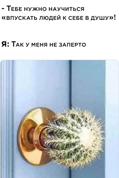 Картинки и мемы для настроения