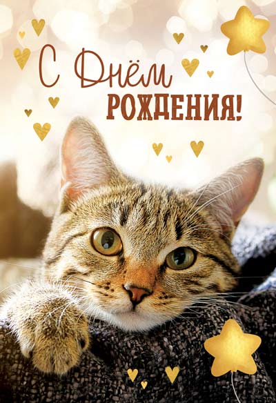 С днем рождения  ЯПъ