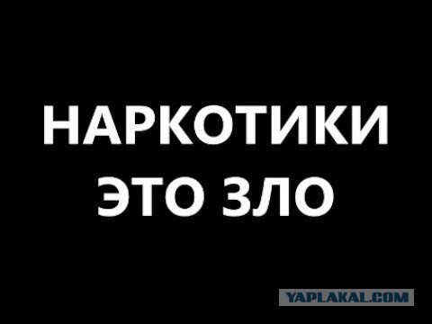 Интересно, что там происходит в этом лифте?