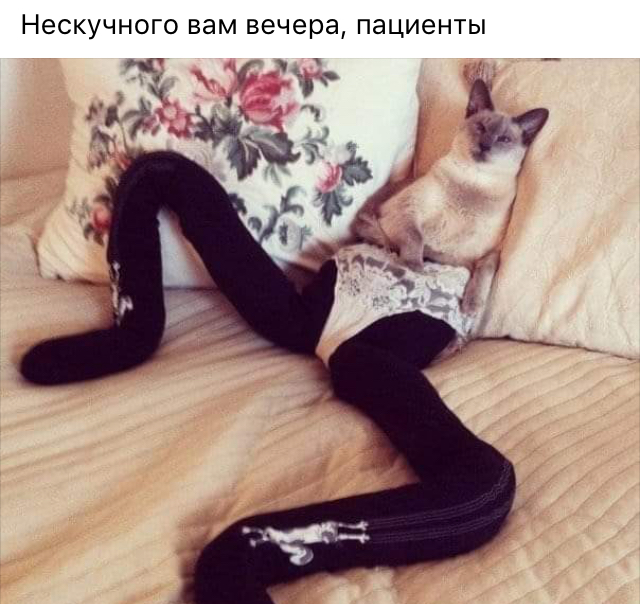 Картинки с надписями и всякие жизненные фразы 5.06.21