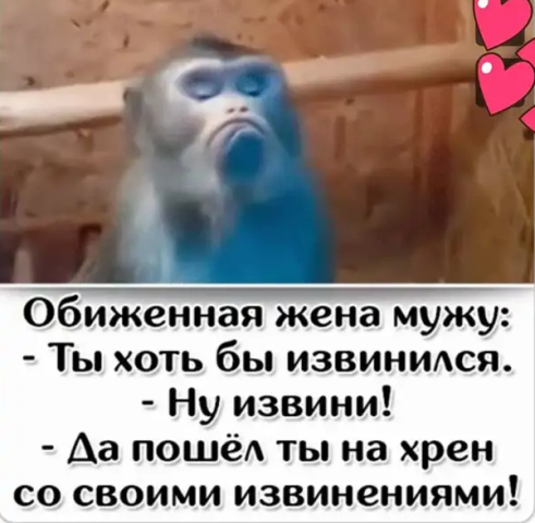 Картинки и мемы для настроения 15.06.2021