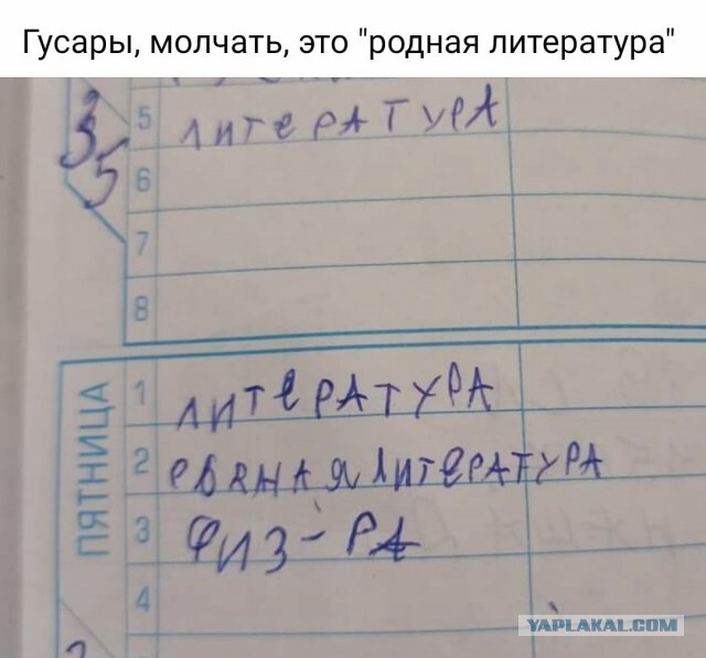 Фотки и картинки с текстом: юморные и красивые, забавные и милые 02.07.21