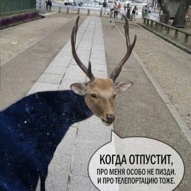 "Иди сюда, грибочек дам"
