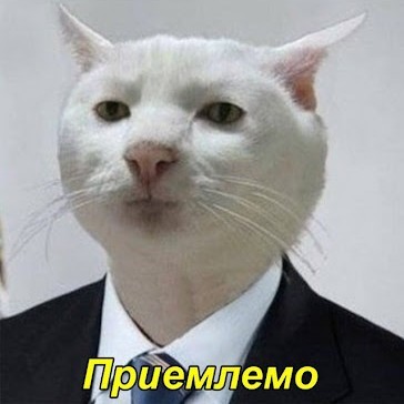 На заводе в Керчи спустили на воду новый боевой корабль "Аскольд"