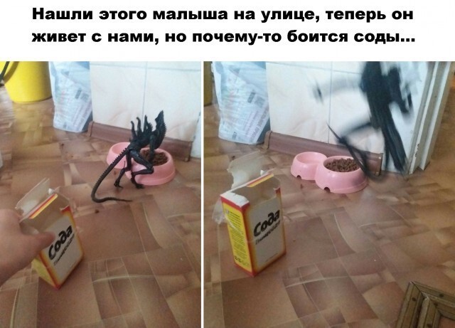 Баянисто-небаянистый юмор 26.09.21