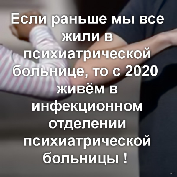 Всяческие картинки 24.11.2021