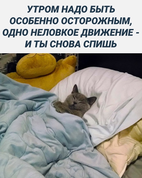 Картинки и мемы для настроения - 22
