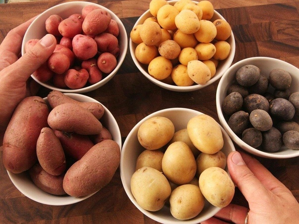 15 плюсов холостяцкой жизни