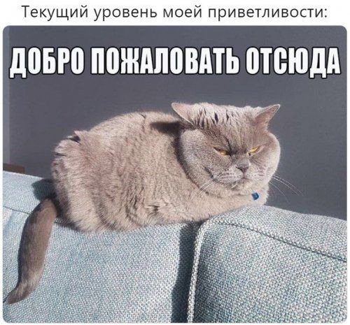 50 оттенков серого.  Vol. 6 Или самосвал баянов.  50 штук.