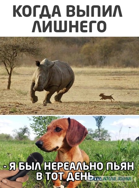 Он бессмертный? Или просто сохранился?
