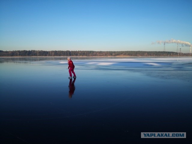 Победная поступь идиотизма по планете.