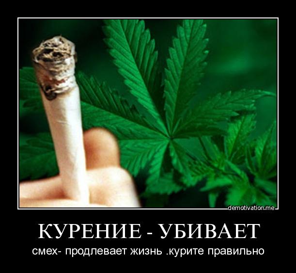 Прикольные и просто красивые картинки 29.11.2022