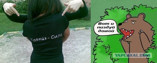 В Петербурге задержан спортсмен, убивший фаната "З
