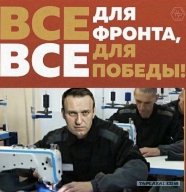 В Берлине установили копию камеры Навального в ШИЗО