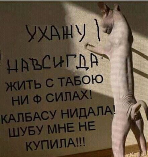 Так себе картинки 01.02.23