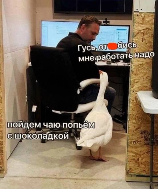 Картинок разной степени @анутости псто.