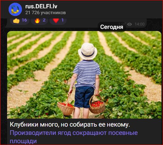 Победная поступь идиотизма по планете – том 17