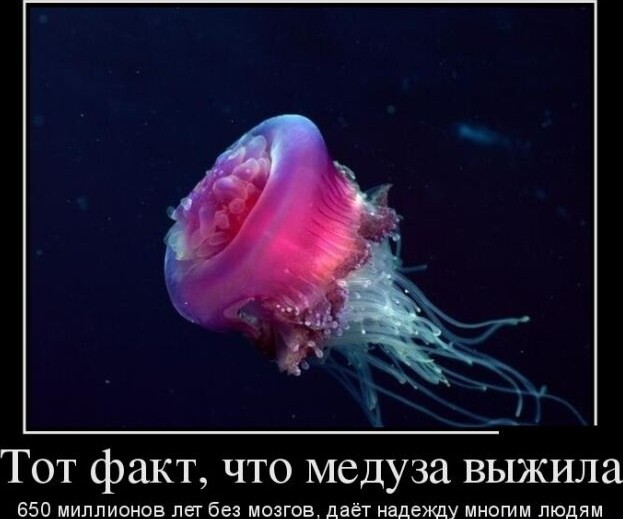 Одиннадцатая подборка самых баянистых баянов! Ностальгируем...