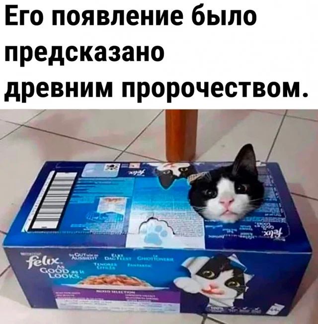 Прикольные и просто красивые картинки 06.10.23