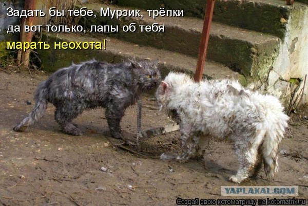 Немного картинок и прочей хреноты Vol. 27