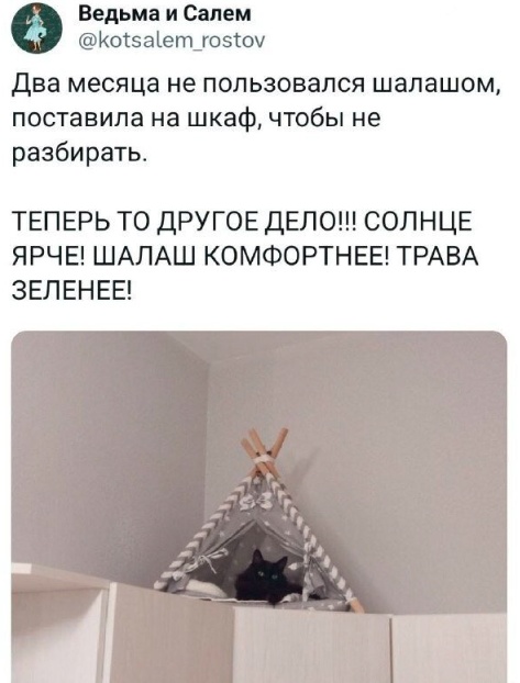 Всего понемногу. От 30.11.23