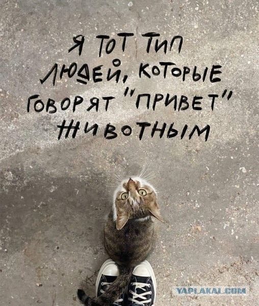 Картинки и буквы 24.06.2024