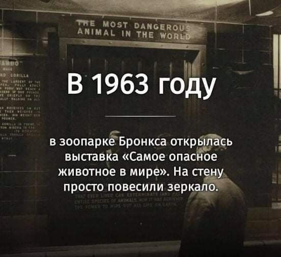 Прикольные и просто красивые картинки 10.09.2024