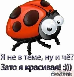 Завалялось тут случайно немного забавных картинок