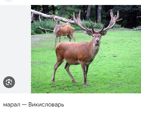 Рецидив