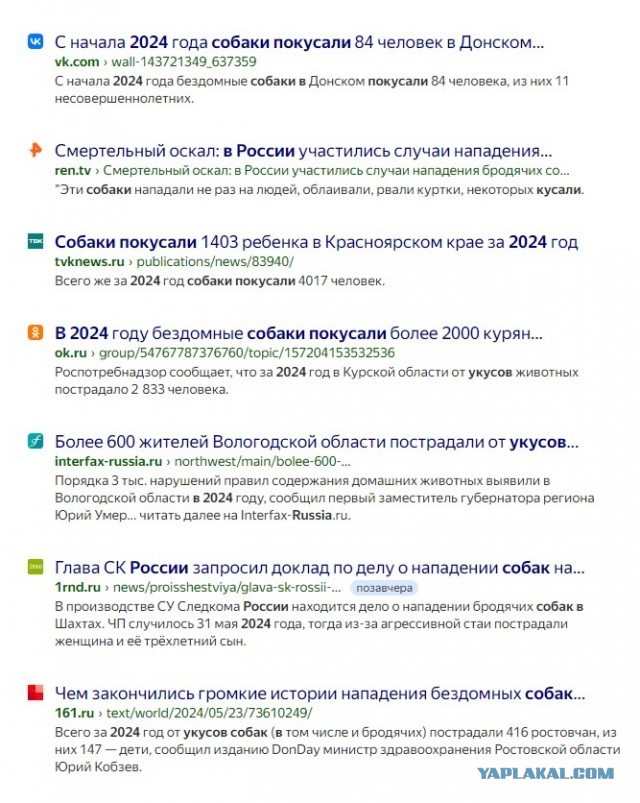 Пенсионерки набросились на отловщиков, чтобы отбить дворнягу в Красноярске