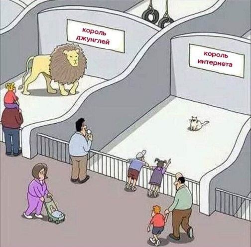Без проблем